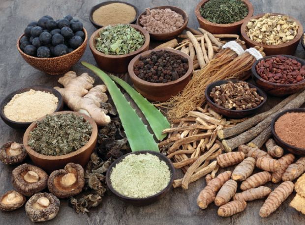 Ayurvedic Medicine for Diabetes