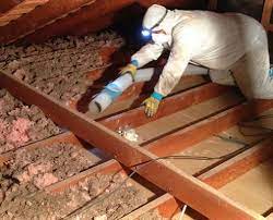 Attic Insulation Removal