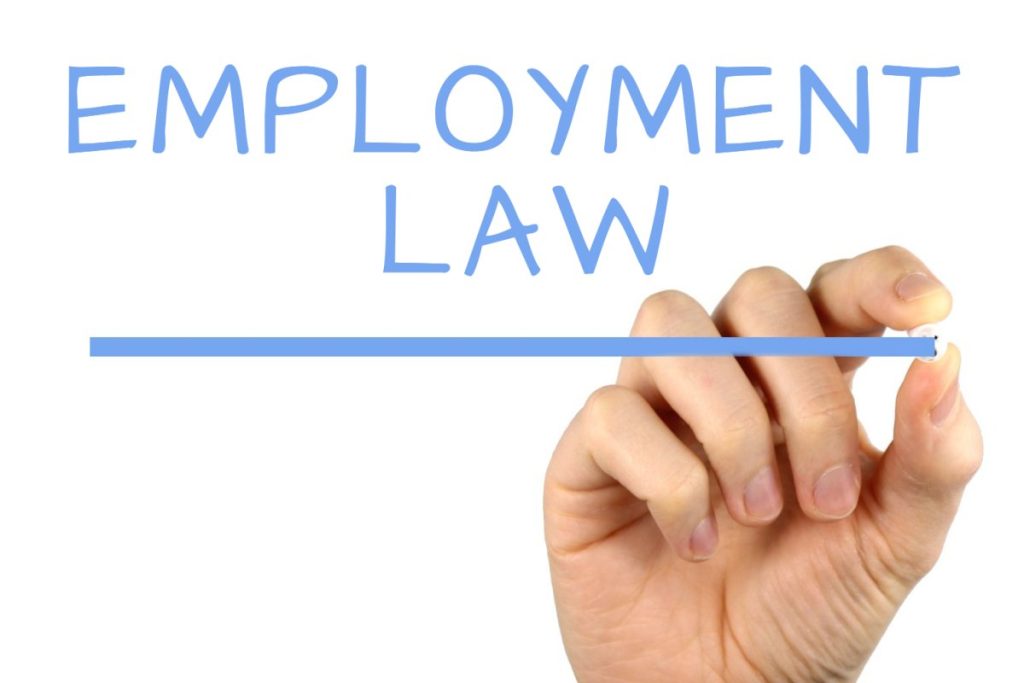 Employment Attorney